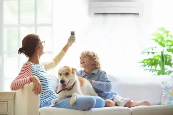 Air Quality Services